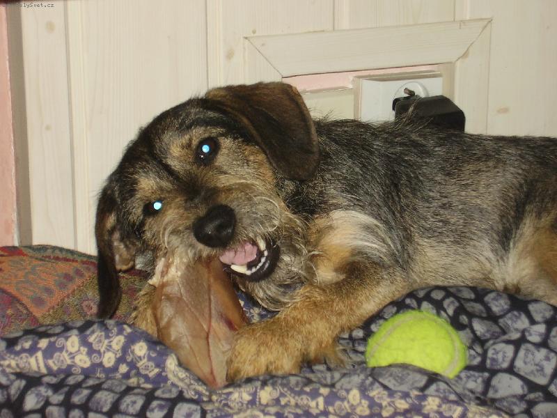 Foto: Mil��ek 2-To je ale dobrota!!!