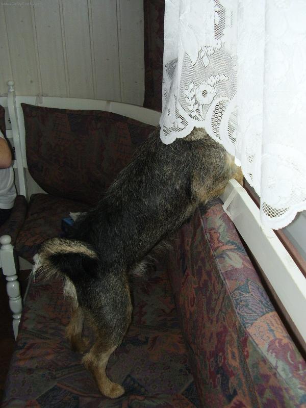 Foto: Mil��ek 3-No to snad n�, soused u� m� zase nov� auto?!?