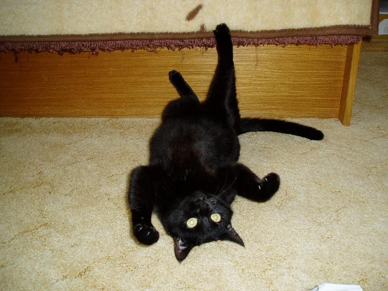 Foto: To je pohodi�ka