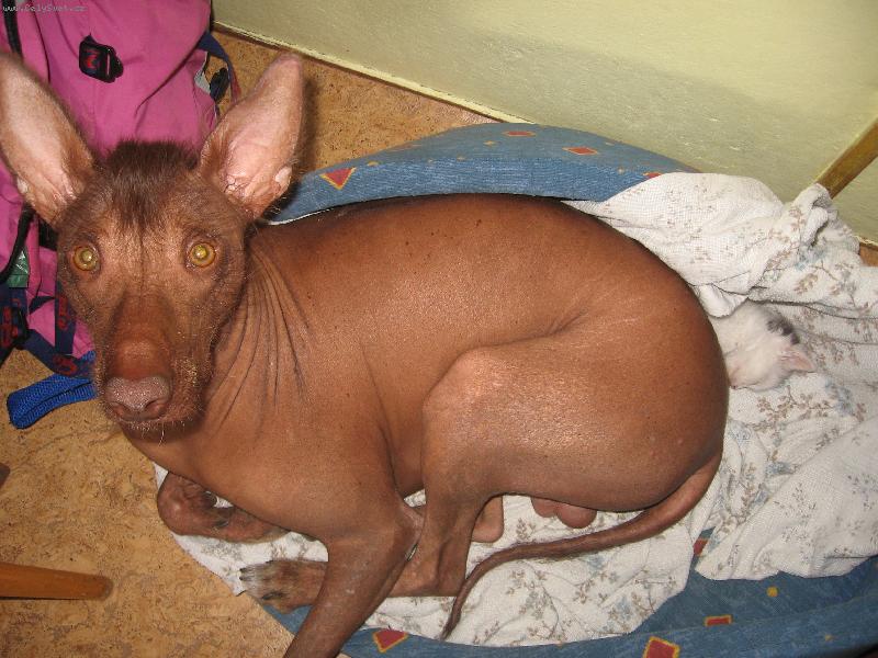 Foto: Jed�k a Pampal�nek-Najd�te PAMPAL�NKA!!!!!