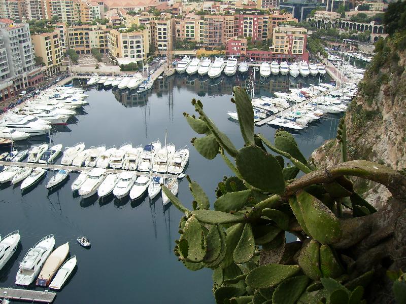 Foto: p��stav v Monaku