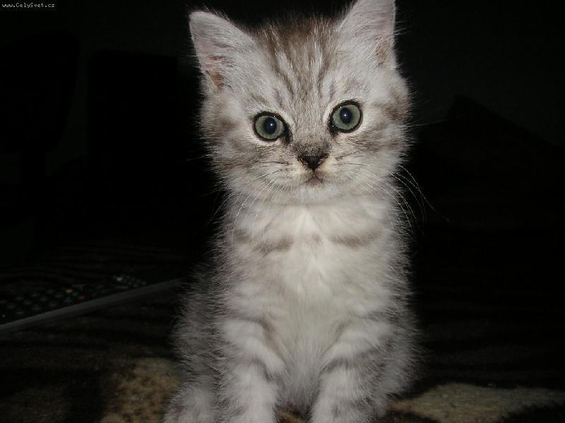 Foto: Mat�j-To je n� Mat�j