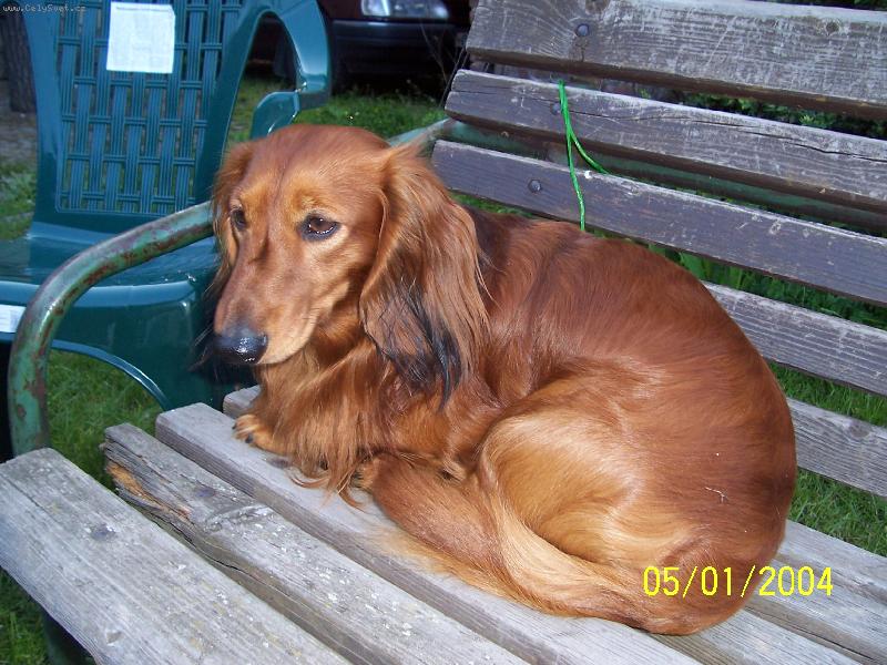 Foto: Pohoda,kl�dek, leh�ro......-...