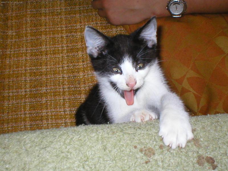 Foto: J� �e �ilh�m????????