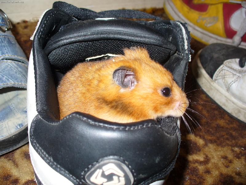 Foto: Na�e mil� Hryzalka-Hm.....tady to je�t� nezn�m.