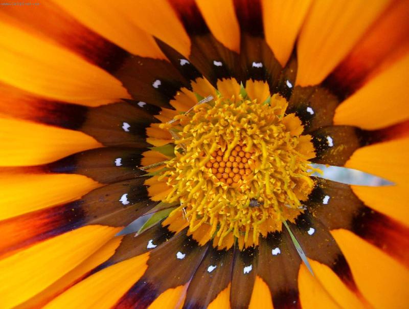 Foto: u� uvadla...