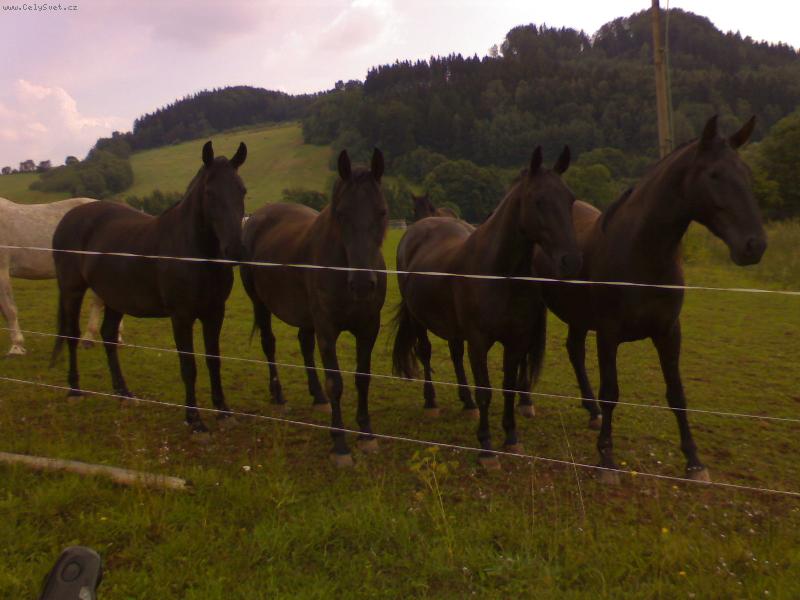 Foto: Vran� kon�