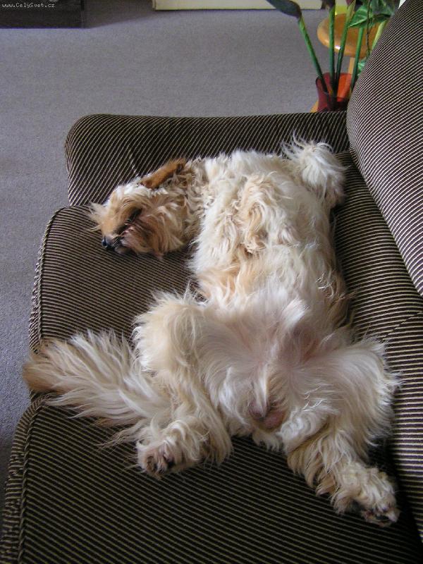 Foto: R�NO-Mat�jovo rann� probuzen�