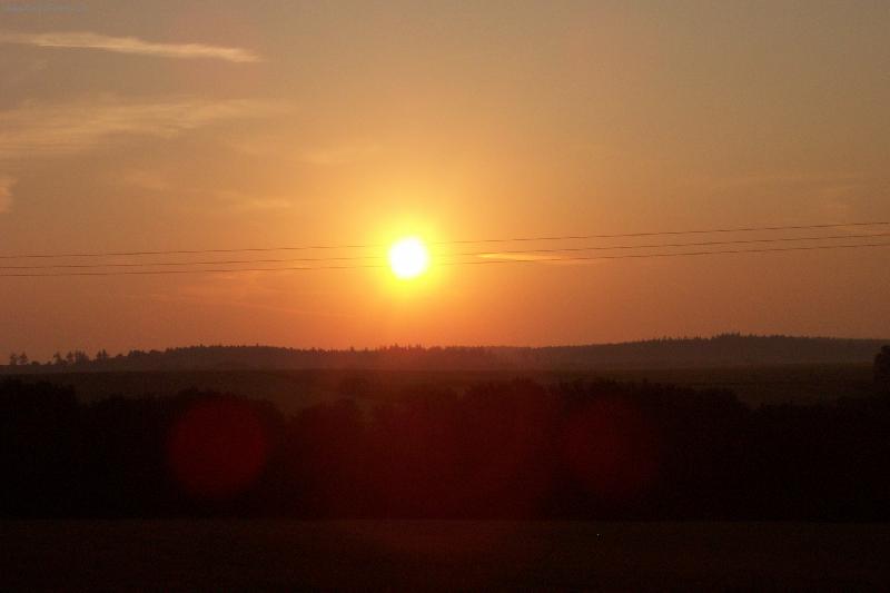 Foto: slunce na dr�t�