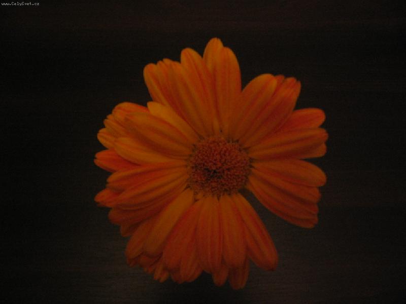 Foto: Vzpom�nka