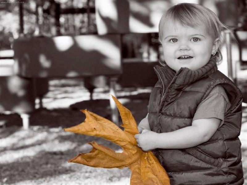 Foto: podzim...-such� list