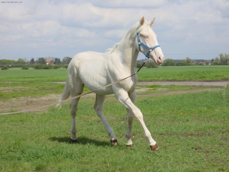 Foto: Trixi