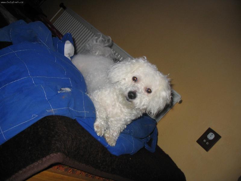 Foto: N� mil��ek