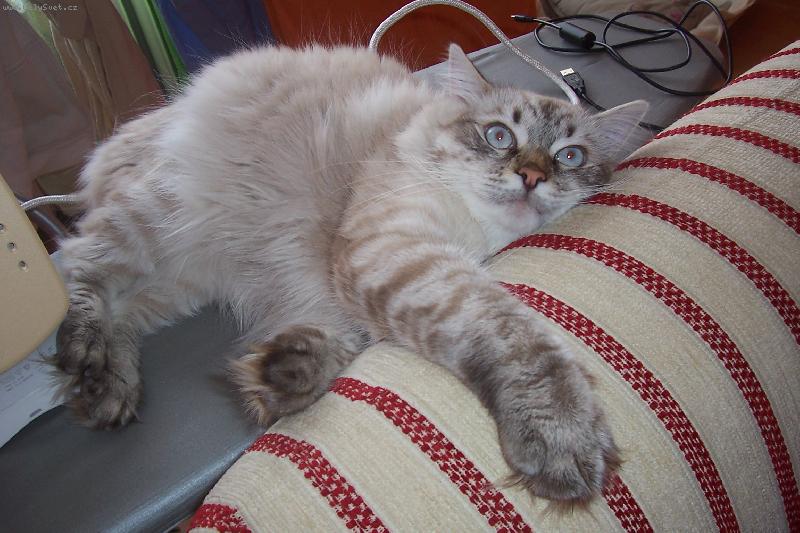 Foto: Nuda a� na p�du