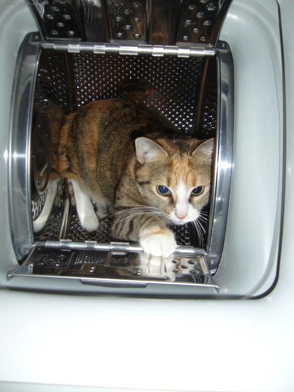 Foto: mikinek v pra�ce