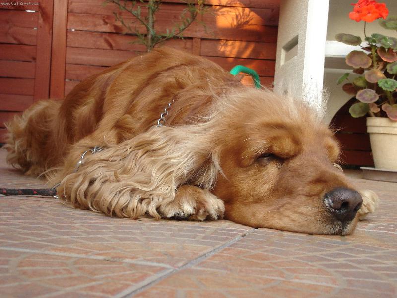 Foto: Barinek-mazl��ek