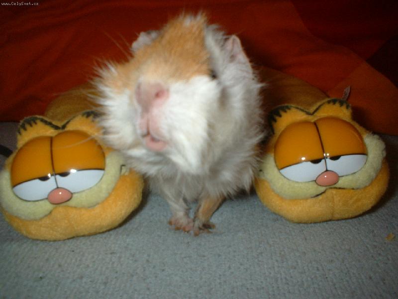 Foto: Mor��tko Bobinka-KUK :)