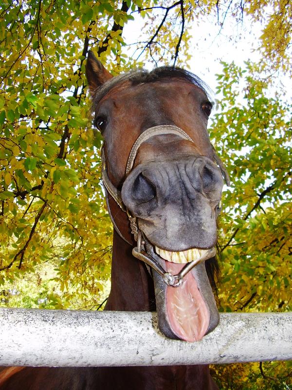 Foto: Ne ka�d� je fotogenick�...