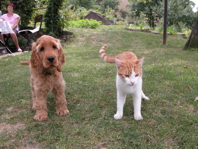 Foto: Alex a Apofix-Kamar�di na �ivot a na smrt