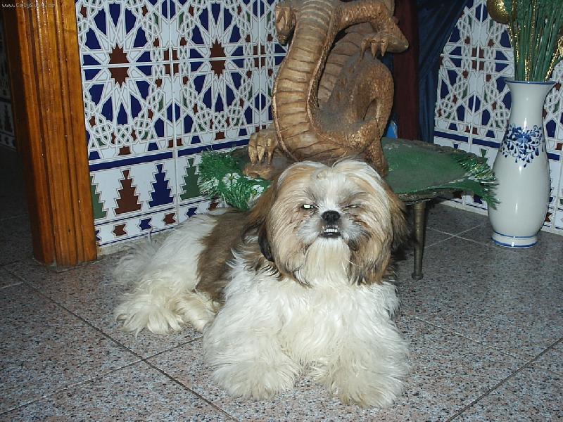Foto: salinka