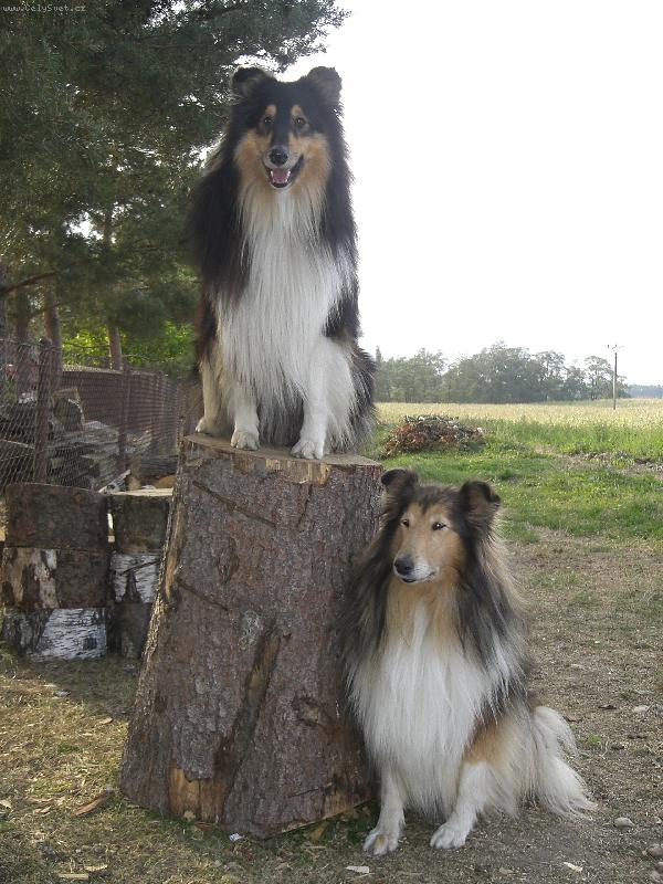 Foto: Ulvar a Beky