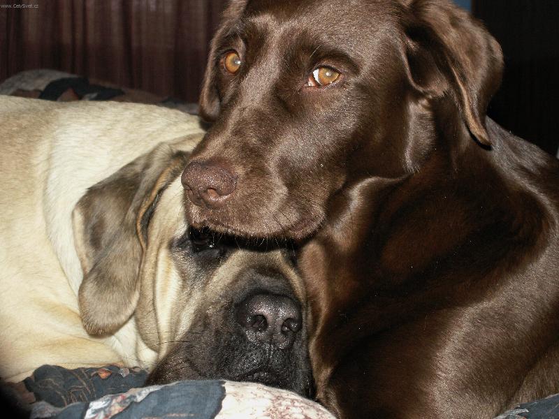 Foto: ...prost� se m�me r�di!-Wendy a Terezka