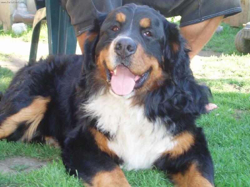 Foto: Max
