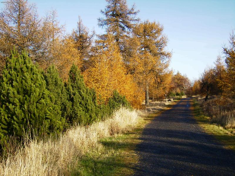 Foto: podzimn� p��roda na D���nsk�m Sn�n�ku