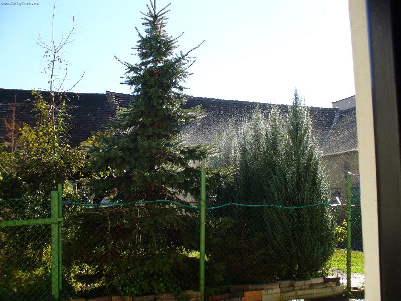 Foto: Smrky,thujky a v�e zelen�-To je m�j relaxa�n� koutek