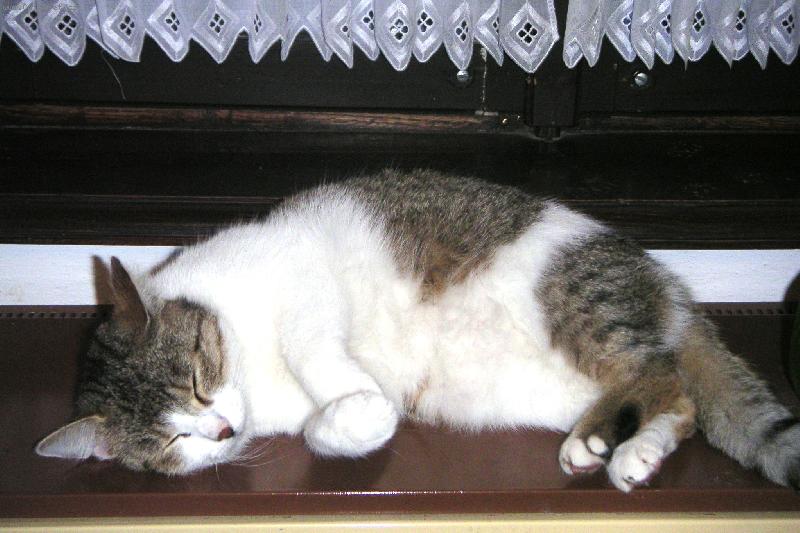 Foto: poledn� klid