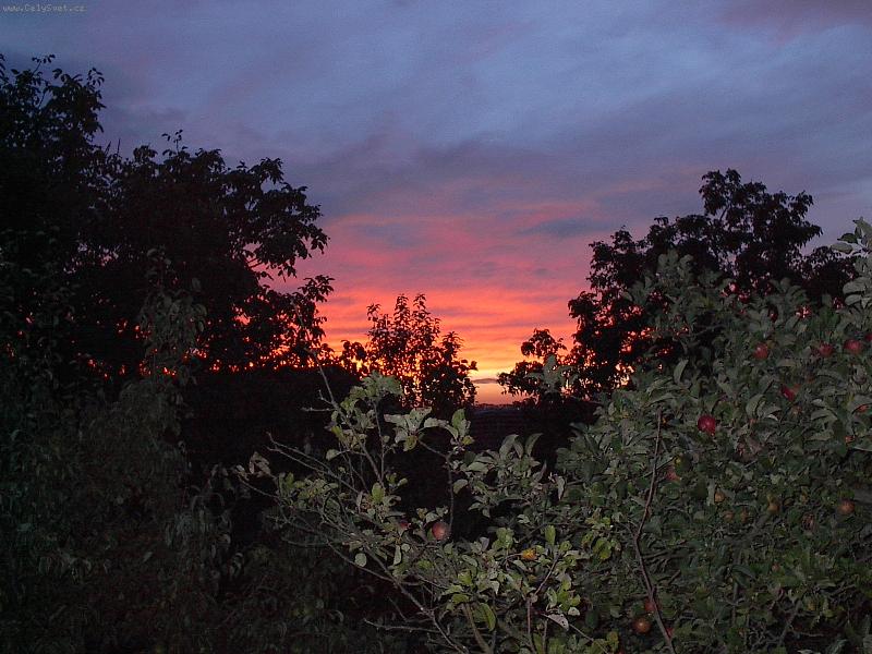 Foto: V�ude dob�e - ale doma je doma-z moj� zahr�dky-p�es jablo� sm�r z�pad