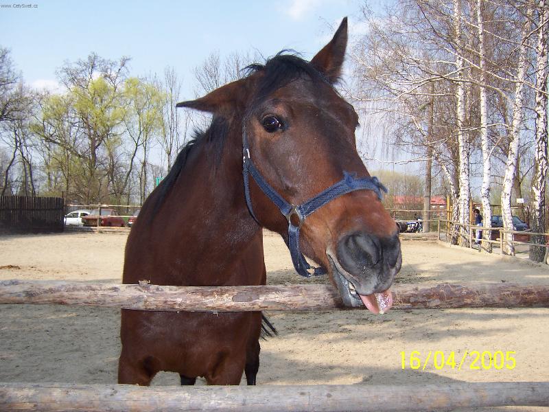 Foto: To je ale kysel�!