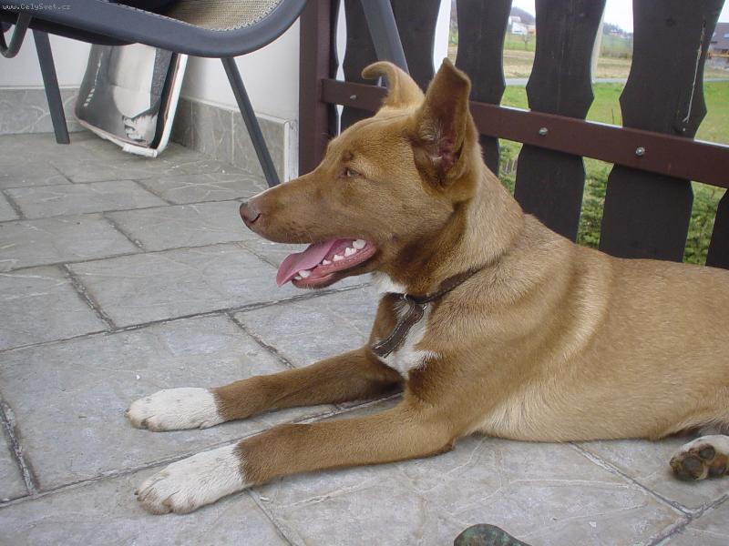 Foto: N� milovan� Arny�ek-Arny�ek