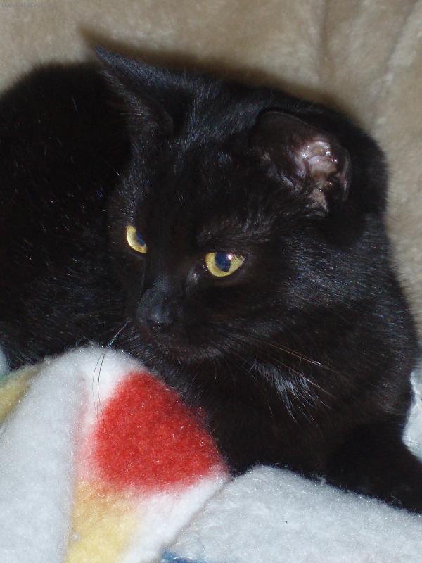 Foto: tak to je n� mazel....-z profilu mi to taky slu��