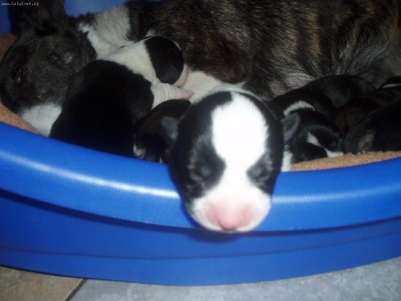 Foto: Kdy u� uvid�m na ten sv�t?