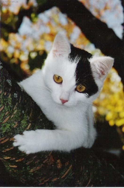 Foto: To je rozhled!!-Pampal�nek