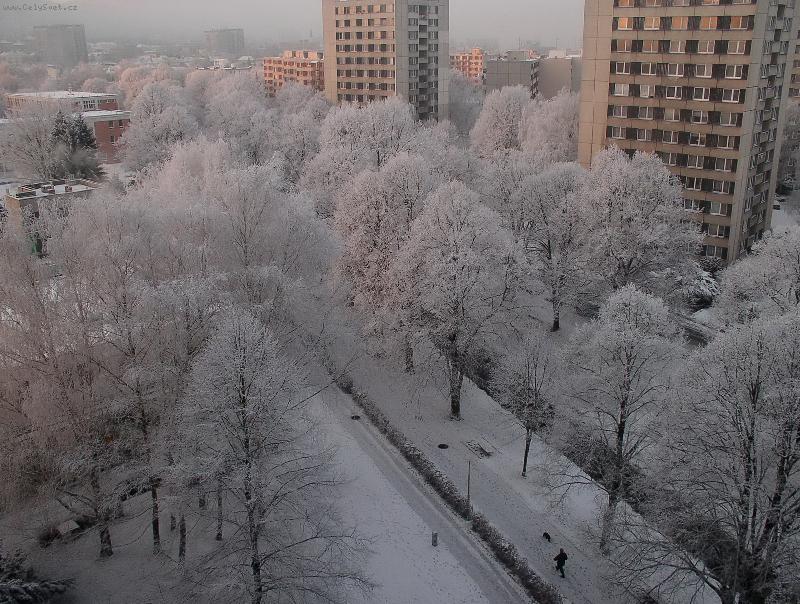 Foto: Prvn� r�no v roce