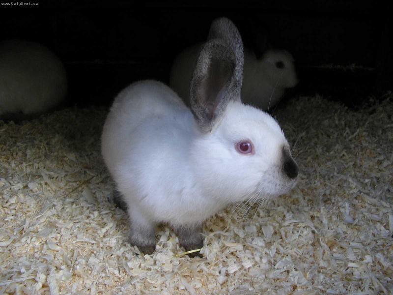 Foto: Z profilu jsem hez��...