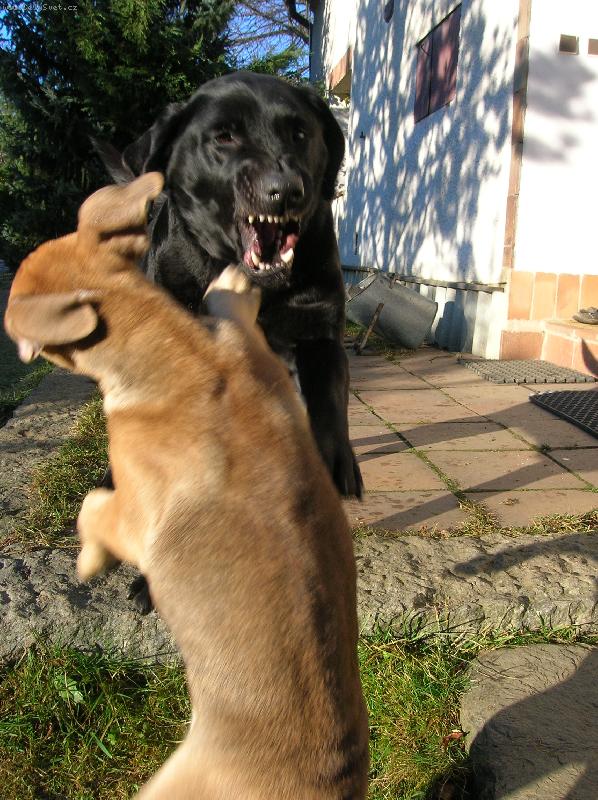 Foto: hele, kl�dek, j� to tak nemyslela....