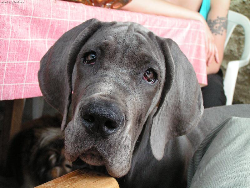 Foto: AJDA