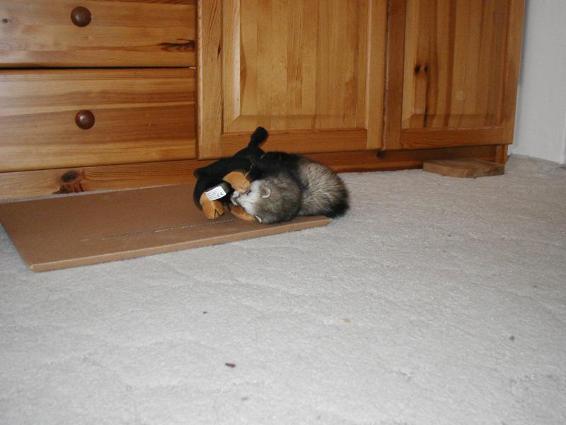 Foto: Jen po�kej, j� ti uk�u