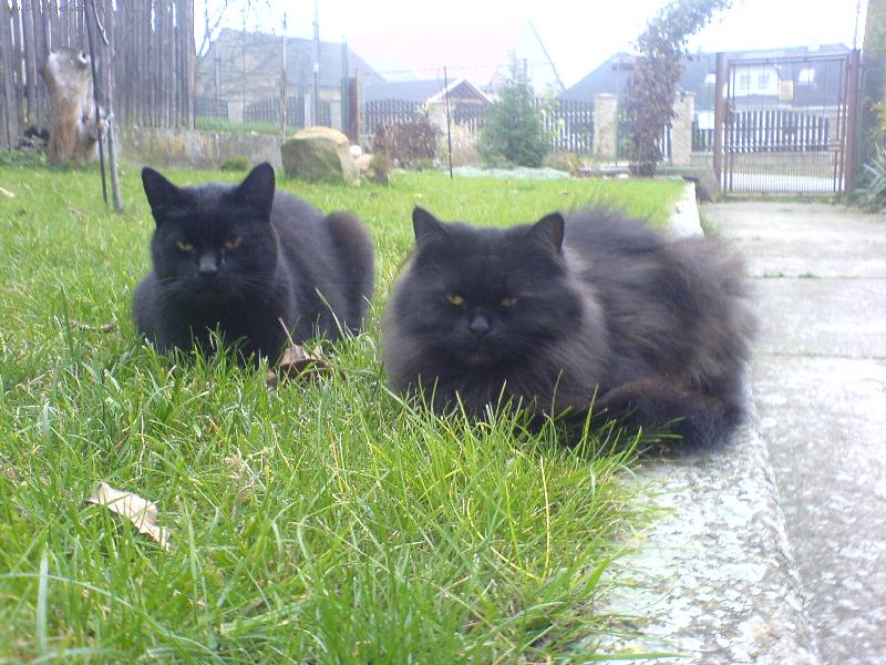 Foto: Na�e dv� ���i