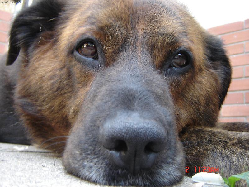 Foto: Max super maxmazel