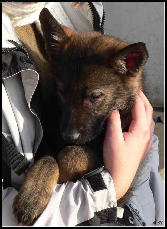 Foto: Arleen-Chci b�t klokan....