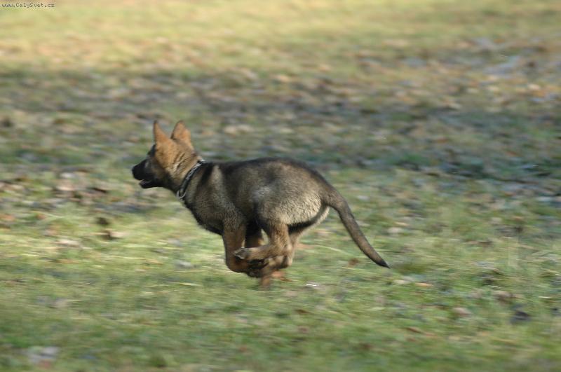 Foto: Arleen-N�co ve m� z klokana rozhodn� je :)