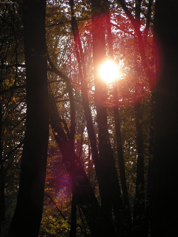 Foto: slunce v Mikul�ic�ch-z�pad slunce nad Velkou Moravou