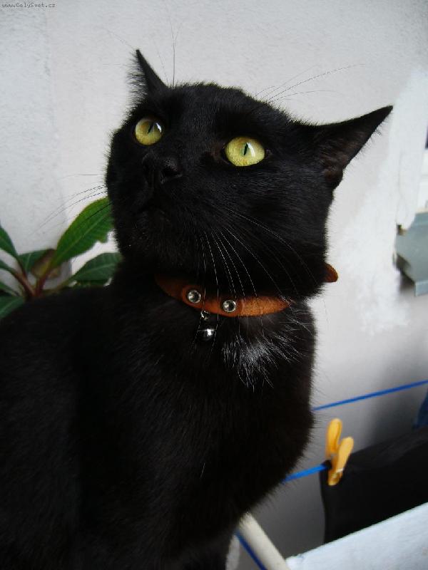 Foto: Jimmy �ert-...