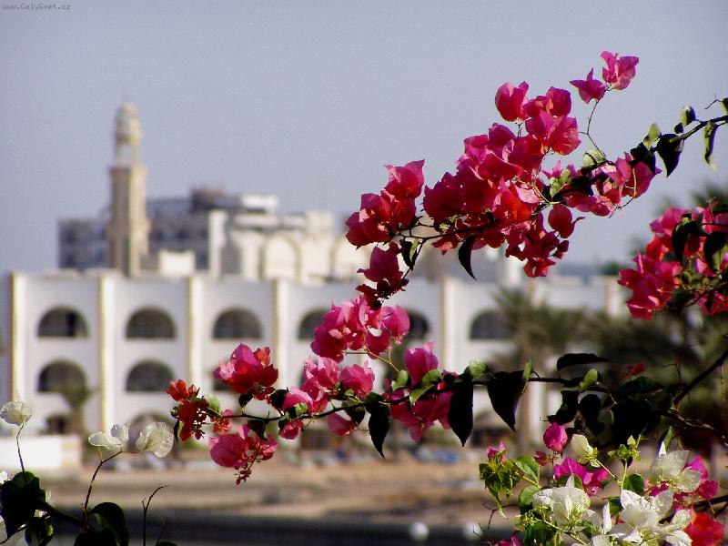 Foto: pohled z balkonu