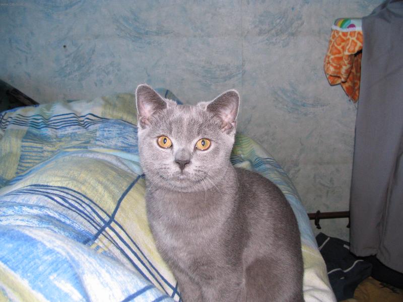 Foto: Lord