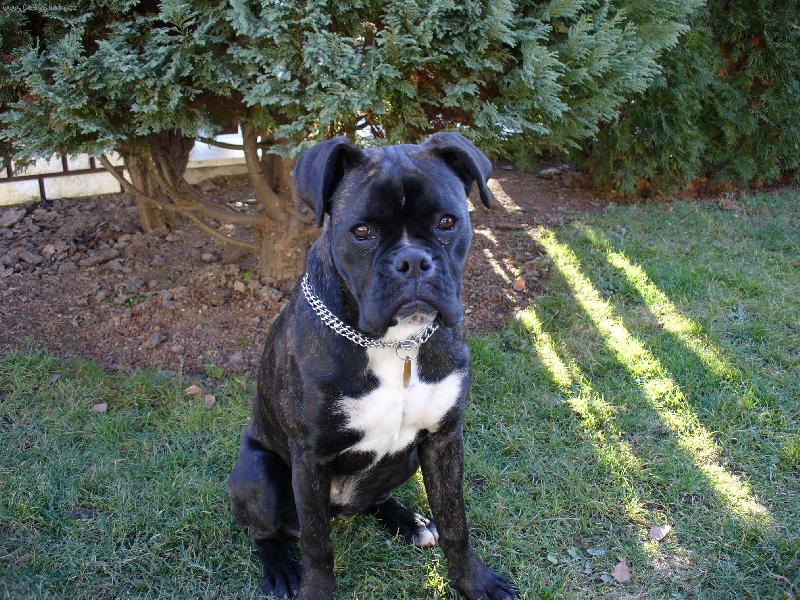 Foto: nellinka-m�j mal� pejs�nek